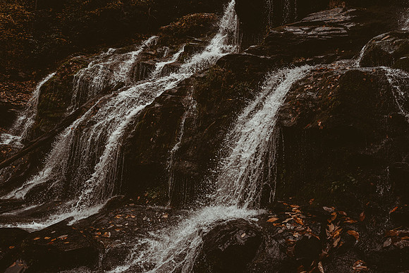 LNO_5901