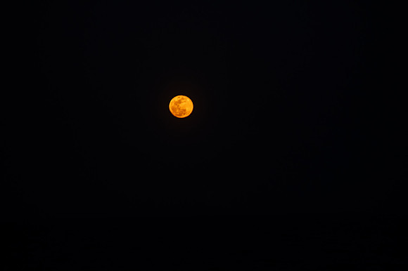 LNO_1118