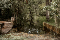 LNO_4905