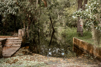LNO_4906-2