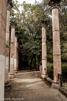 LNO_4908