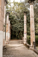 LNO_4909