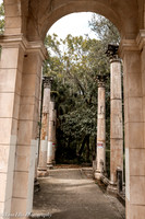 LNO_4911