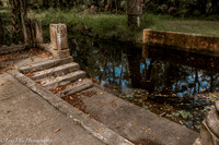 LNO_4913