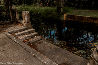 LNO_4914