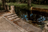 LNO_4915