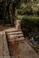 LNO_4916