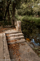 LNO_4918