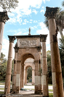 LNO_4920