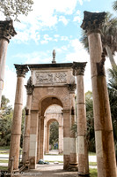 LNO_4919-2