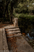 LNO_4917