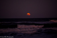 LNO_5187