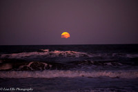 LNO_5188