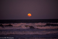 LNO_5191