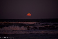 LNO_5189