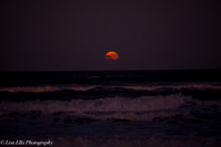 LNO_5186