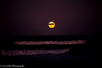 LNO_5196