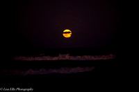LNO_5197