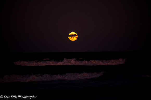 LNO_5197