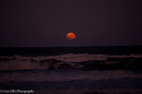 LNO_5190
