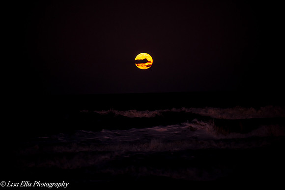 LNO_5198