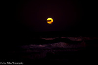 LNO_5200