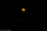 LNO_5201