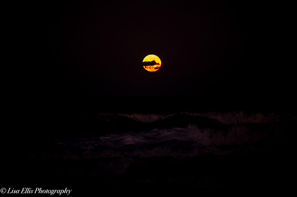 LNO_5199
