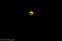 LNO_5202