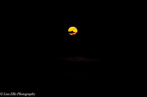 LNO_5203