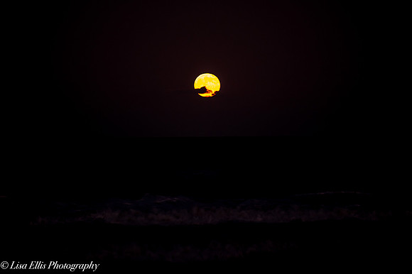 LNO_5206
