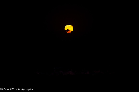 LNO_5205