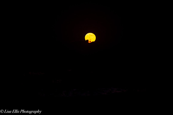 LNO_5208