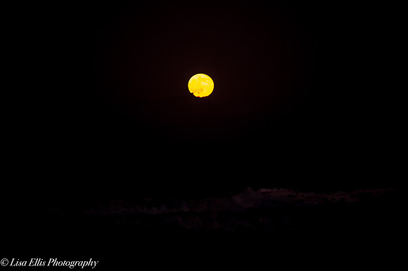 LNO_5210
