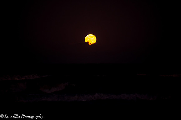 LNO_5209