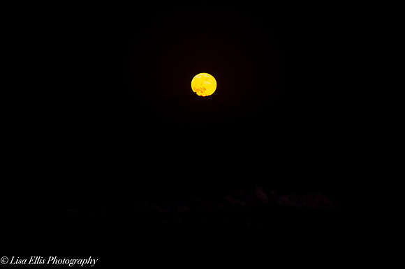LNO_5211