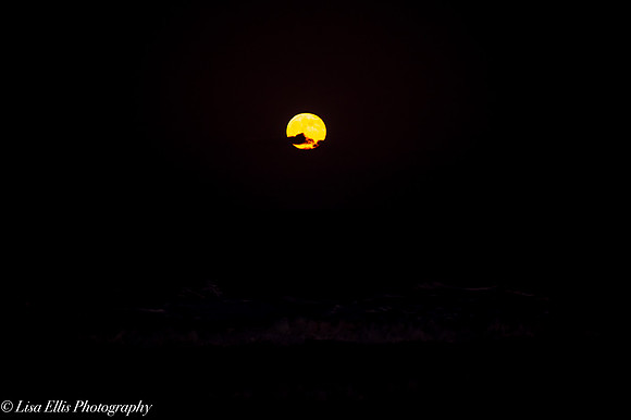 LNO_5207
