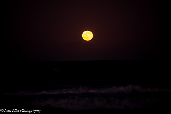 LNO_5213