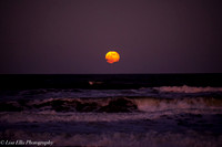 LNO_5192