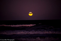 LNO_5195
