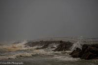 LNO_5264