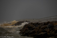 LNO_5269