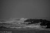 LNO_5266