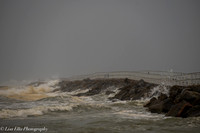 LNO_5265