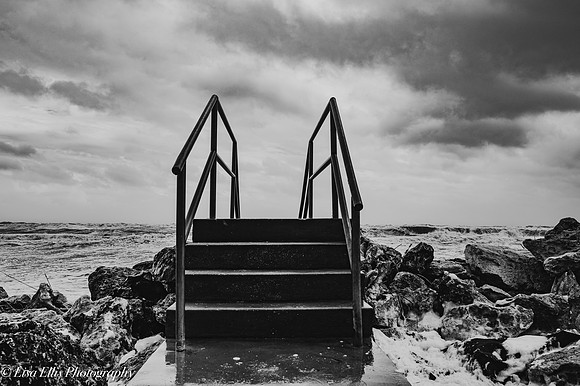 LNO_8946