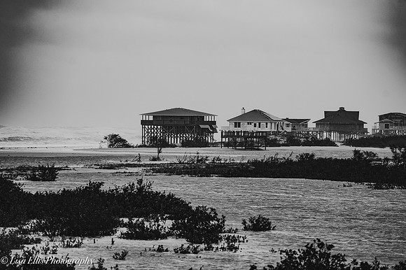 LNO_9052