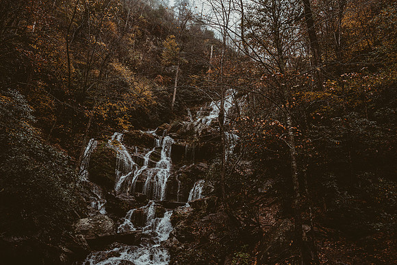 LNO_5924