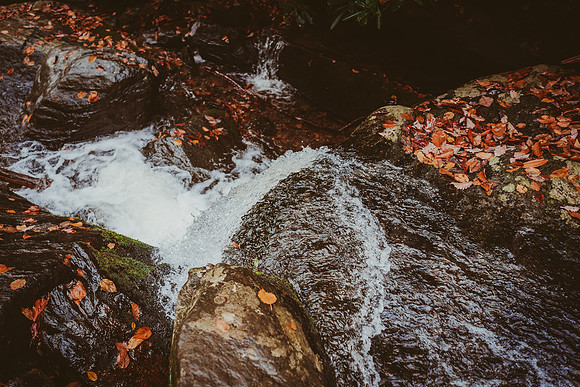 LNO_5929