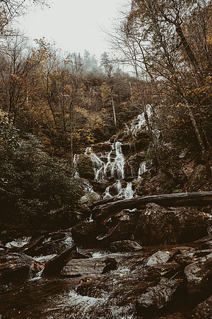 LNO_5915
