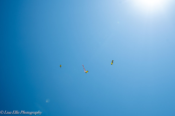 LNO_7772